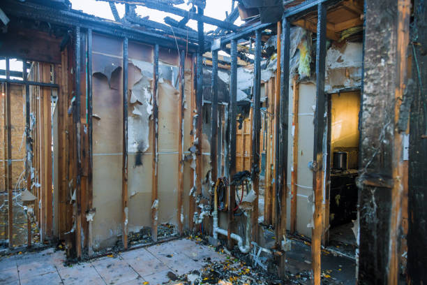 Professional Odor Removal technician working in Ackerman, MS